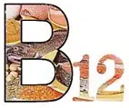 witamina b12