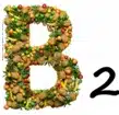 witamina b2