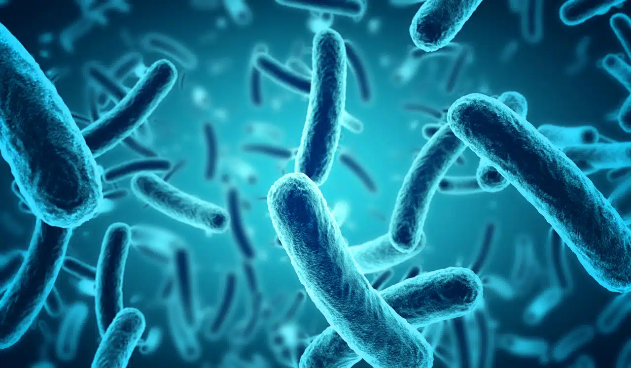 Wpływ mikrobioty jelitowej na resyntezę glikogenu